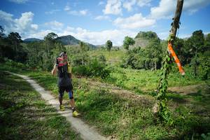 BIB: 
                            <button type="button" onclick="openModal(21792506)" class="btn btn-primary btn-sm float-right btn-popup" data-toggle="modal" data-target=".modal-high-quality">
                        <i class="fas fa-shopping-cart"></i> Add to Cart
                    </button>
                                            <button type="button" onclick="isThisMe(21792506, true)" class="btn btn-success btn-sm float-right btn-popup btn-isme hidden" data-toggle="tooltip" data-placement="bottom" title="นี่คือรูปของคุณใช่ไหม คลิกที่นี่เพื่อเอาเข้าอัลบั้ม">
                        <i class="fas fa-plus"></i> Add to album
                    </button>
                    <button type="button" onclick="isThisMe(21792506, false)" class="btn btn-warning btn-sm float-right btn-popup btn-isnotme hidden">
                        <i class="fas fa-ban"></i> Remove from album
                    </button>